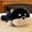 pa caiquan, variant on Fox Stuffed Animal Cute Plush Doll Toy 7 inch for Girls Boys Christmas (pa Fox)