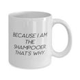 thumbnail image 2 of Motivational Shampooer, Because I Am the Shampooer. That's Why, Useful 11oz Mug For Coworkers From Friends, 2 of 2