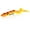 Golden Ambulance, variant on 3D Real EEL - Soft Lure