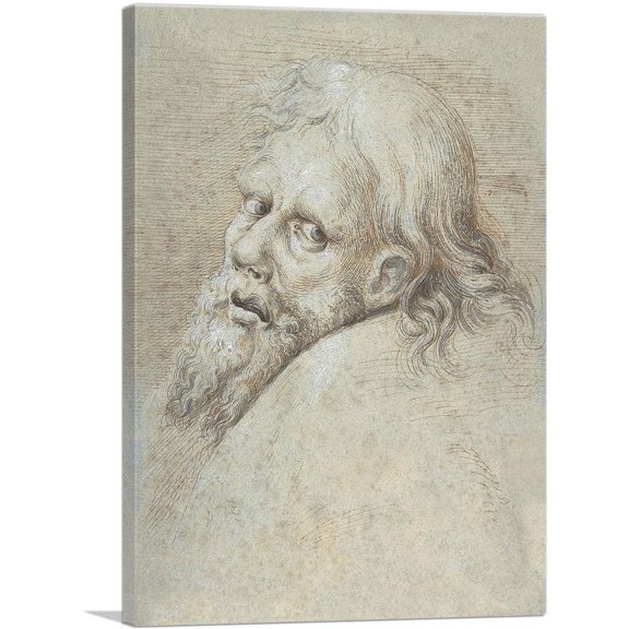 ARTCANVAS Head Of a Bearded Man 1579 Canvas Art Print by Hans Hoffmann - Size: 12" x 8" (0.75" Deep)
