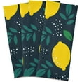 thumbnail image 2 of Coolnut Lemon Kitchen Dish Towel Set of 1, Soft Absorbent Drying Dishcloths Dish Towels with Hanging Loop for Kitchen Bathroom Bar Home Decor, 28 x 18 Inch Washcloth Gift, 2 of 7