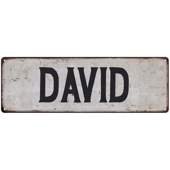 DAVID Vintage Look Rustic Chic Metal Sign 8x24 108240036328