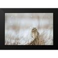 thumbnail image 2 of Delimont, Danita 24x17 Black Modern Framed Museum Art Print Titled - Prairie Winter, 2 of 5
