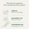 thumbnail image 2 of Tea Traditional Medicinals con hibisco orgánico, 16 bolsitas de té, 2, 2 of 7
