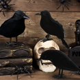 thumbnail image 4 of De Cuervos Negros De Halloween, Cuervos De Plumas Artificiales Negros, Cuervos Realistas Hechos A Mano Para Decoración Interior Y Exterior 6 Uds. Guardurnaity HA038566-00, 4 of 5