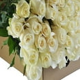 thumbnail image 3 of KaBloom :100 White Roses, Next-Day Delivery, Gift for Every Occasion., 3 of 5