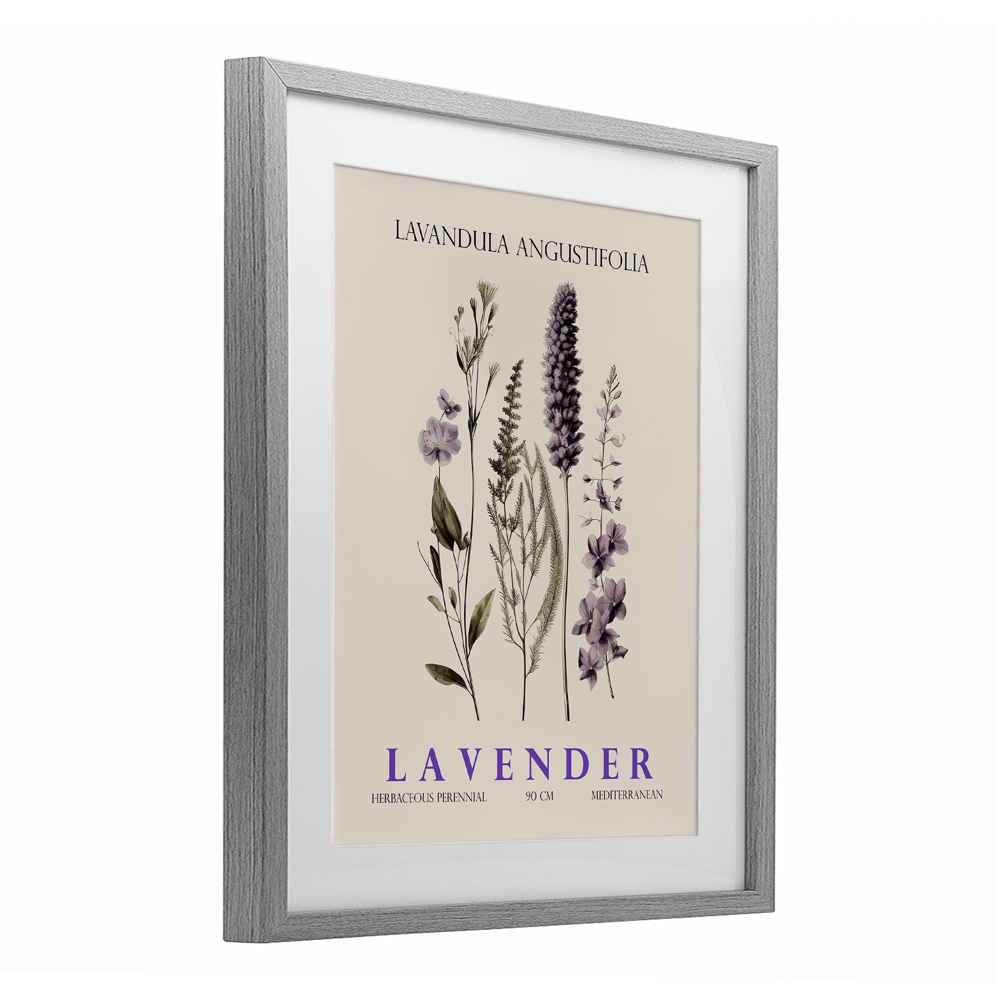 Stupell Industries Natural Lavender Bundle Gray Framed Print Under Glass, design by Christopher Giampietro