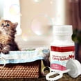 thumbnail image 2 of SDFGTstore Pets Cats Catnip Bubbles Spray Toys About 17ML Non-Toxic Safe Easy to Use Gift Attract Cats to Jump and Cats's Att, 2 of 8