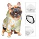 thumbnail image 3 of Fotbe Lemon Potatoes Sudadera con Estampado para Perros Pequeños – Suéter con Capucha para Mascotas, Tela Suave de Forro Polar con Bolsillo-XX-Large, 3 of 7