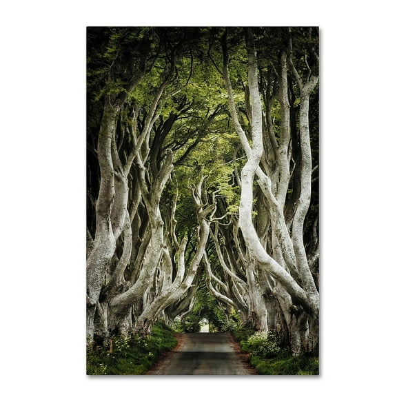 Trademark Fine Art "Romantic Avenue" Canvas Art by Philippe Sainte-Laudy