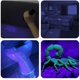 thumbnail image 5 of UV Flashlight with 51 LEDs, Pet Urine Detector for Dog & Cat, 5 of 5