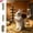 A, variant on Qocolcyl Bunny Chew Toys for Teeth, ood Molar Sticks with Timothy Hay Circles for Bunny Chinchilla Guinea Pig Hamsters Holland Lop Prairie Dogs Squirrels Gerbils, Improves Dental Health