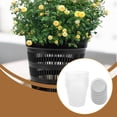 thumbnail image 4 of DOLITY 6x Pots d'Orchidée Transplantation Réutilisables Patio Légers Rempotage avec Trous 14cm Rond Blanc, 4 of 9