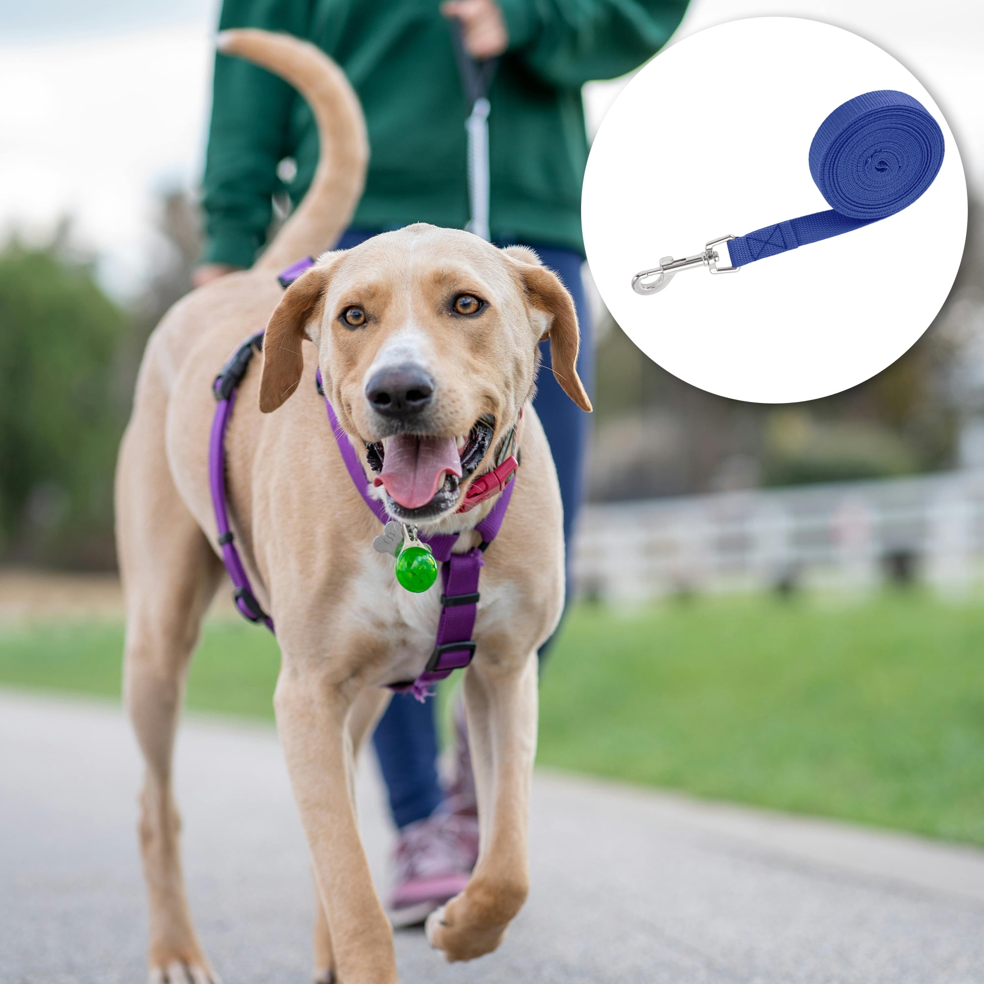 Unique Bargains 32.8ft Long Training Dog Leash Blue