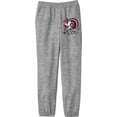 thumbnail image 3 of Thanksgiving Feathers & Tackles Turkey Football Player Adult Heather Gray Jogger Pants-Medium, 3 of 4