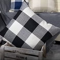 thumbnail image 2 of Outdoor Farmhouse Buffalo Plaids Throw Pillow Covers 18x18 Set of 2 Black White Decorative Classroom Front Porch Classic Decor Retro Boho Cushion Cases Fall Home Rustic Check for Couch Patio, 2 of 7