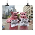 thumbnail image 2 of Print: Republican National Convention, September 1-4, 2008. Protesters, 2 of 4