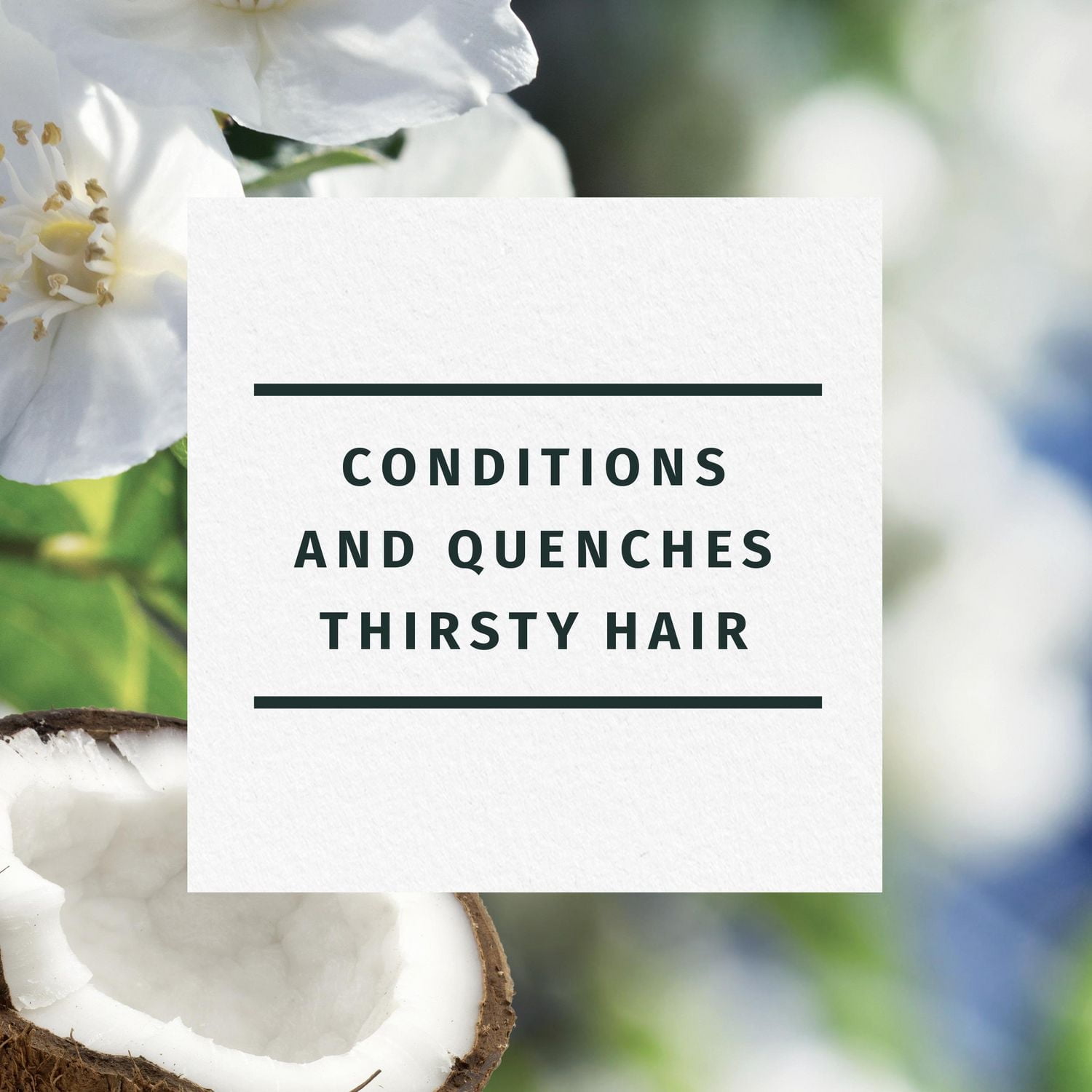 Herbal Essences Classics Hydrate Coconut Water & Jasmine Conditioner