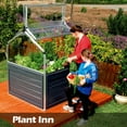 thumbnail image 2 of Plant Inn Raised Garden Bed Greenhouse, 2 of 2
