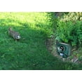 thumbnail image 6 of Bird-X Inc Solar-Powered Ultrasonic Electronic Pest Repellent Stake, 6 of 6