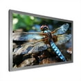thumbnail image 2 of Designart "Dragonfly Dance in Blue Hues I" Animals Framed Wall Art Decor - Modern Farmhouse Blue Dragonfly Hallway Framed Wall Art Decor, 2 of 6