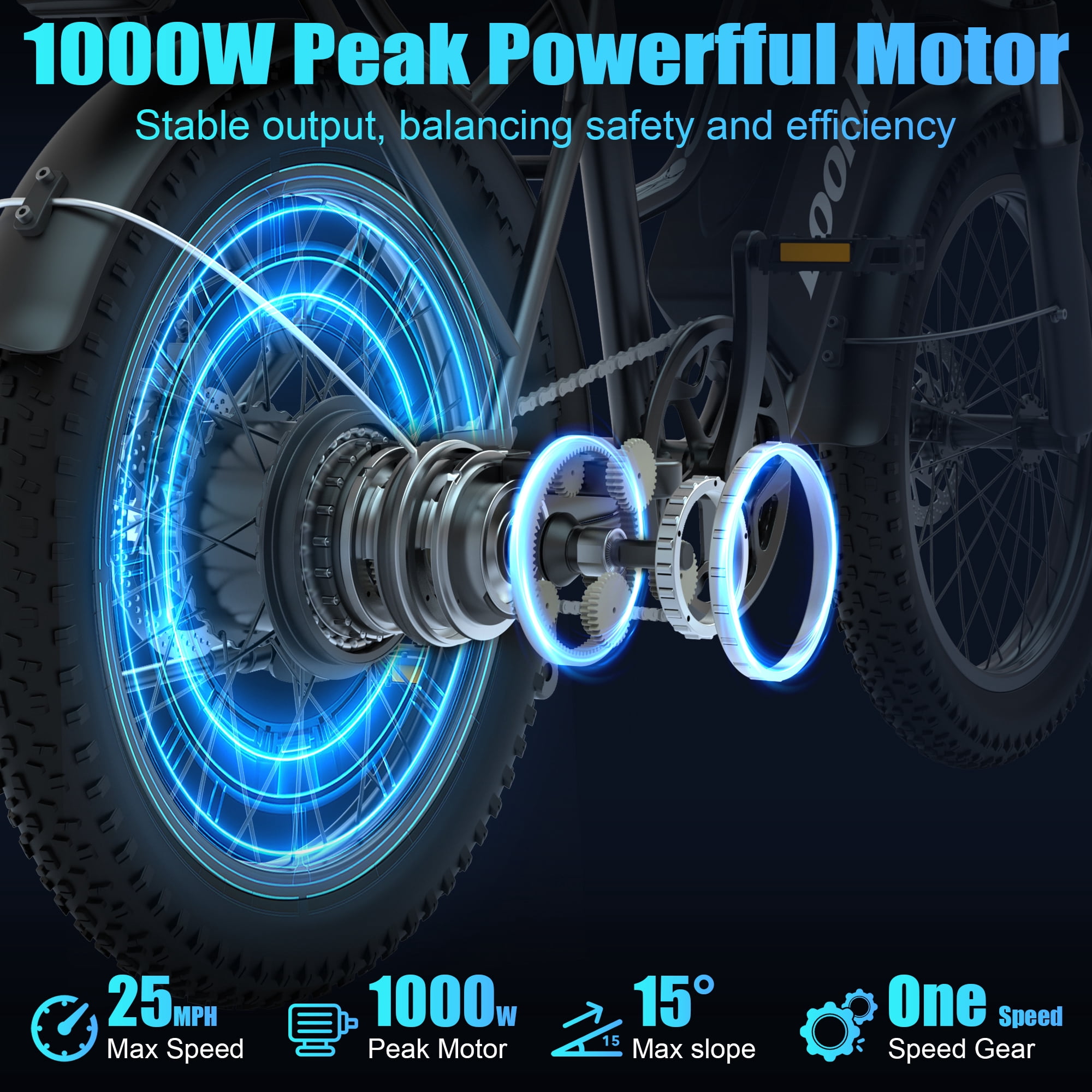 LoonFat T20 Adult Electric Bike, 1000W Peak Motor, 48V 15.6Ah Removable Battery, 20"x3.0" Fat Tire, 25MPH, 30 Miles Range