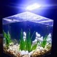 thumbnail image 1 of Luz LED con clip para acuario, luz para pecera con LED blancos y azules, luz LED pequeña para acuario de agua dulce, 1 of 5