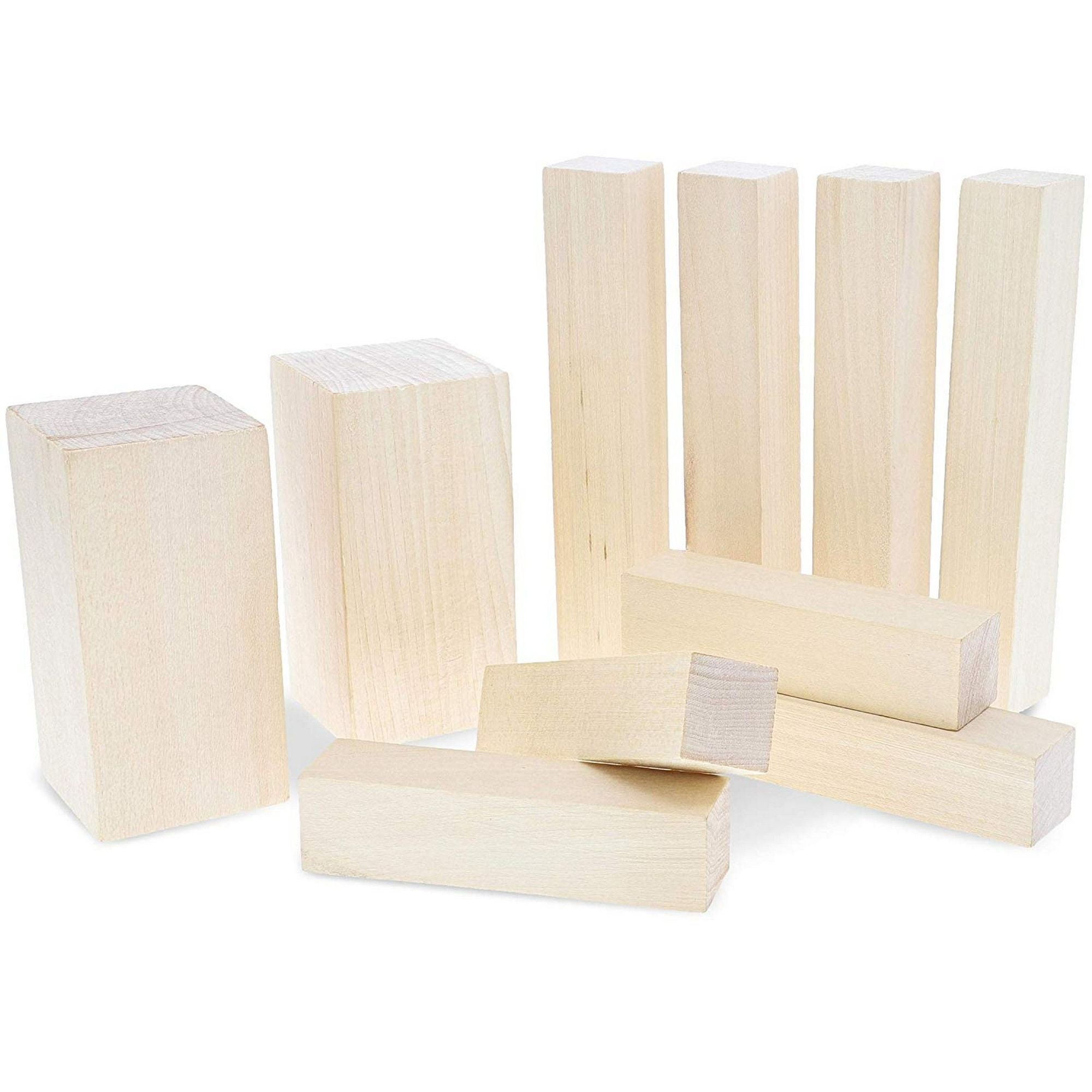 10Pack Unfinished Basswood Carving Blocks for Diy Wood Crafts and