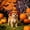 F, variant on Cififendec Halloween Pet Witch Hat, 4.33"×3.54", Adjustable Festive Decor Headwear for Cat Dog Party Dress Up Photo Booth Yard Spooky Season Pet Trim