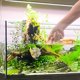 thumbnail image 4 of DEEPCRAFF Herramienta De Entrenamiento Para Betta De Uso Fácil En Variados, 4 of 8