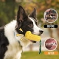 thumbnail image 2 of Indestructible Dog Chew Toys for Aggressive Chewers - Durable Squeaky Corn Shaped Toy for Small, Medium, Large Breed Dogs, Puppy Teething Chew Bone, 2 of 8