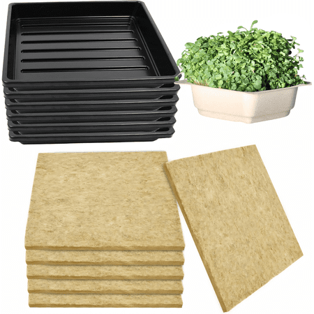 Microgreens Plant Growing Kits with Seeds