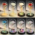 thumbnail image 2 of Women Gifts for Christmas,Birthday Gifts for Women,Rose Flowers Xmas Gifts for Mom Mother Grandma Sister Girlfriend Women Presents,Galaxy Crystal Light Up Rose in A Glass Dome, 2 of 3