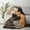 B, variant on Cozy Cat Quilted Throw Blanket - Soft & Warm Decorative Blanket with Adorable Sleeping Cats Design, Perfect for Sofa, Bed & Living Room Decor