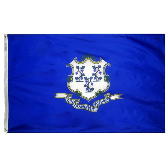 Connecticut State Flag, 4' x 6', Nylon SolarGuard Nyl-Glo, Model# 140770