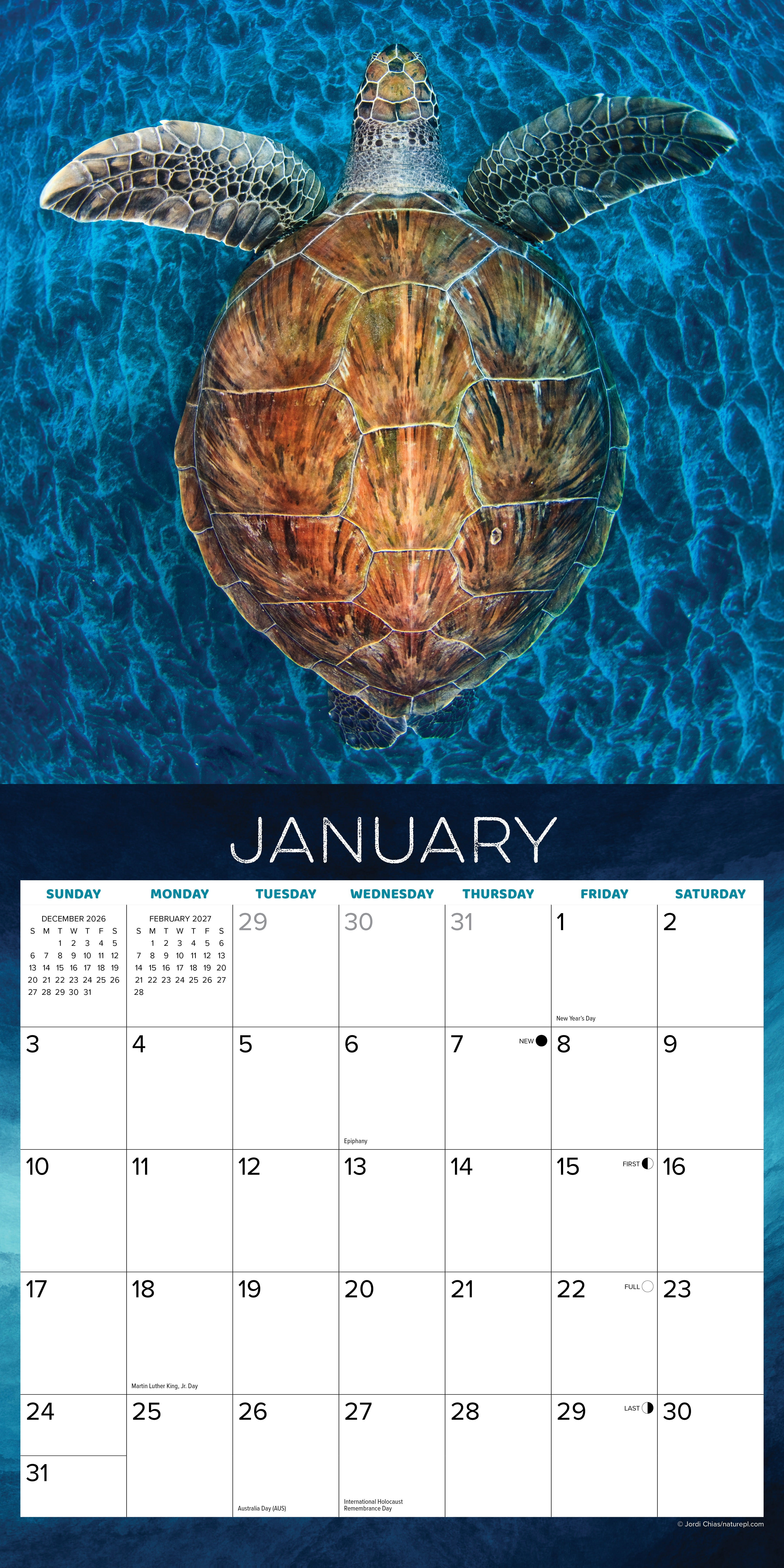 Willow Creek Press, Sea Turtles 2027 Wall Calendar