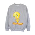 thumbnail image 1 of Looney Tunes Boys Tweety Standing Sweatshirt, 1 of 3