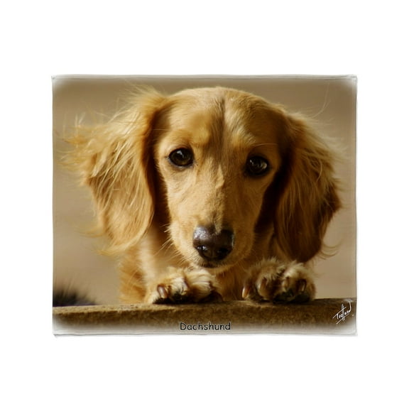 CafePress - Dachshund 9L007D 15 Throw Blanket - Soft Fleece Throw Blanket, 50"x60" for All Ages