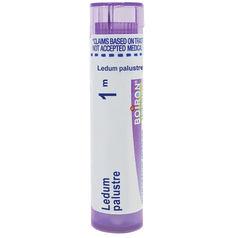 Boiron Ledum Palustre 1M, Homeopathic Medicine for Insect Bites Or Bruising Relief, 80 Pellets