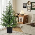thumbnail image 5 of Artificial Norfolk Pine Tree - Faux Christmas Tree Potted Green for Front Porch Christmas Indoor Outdoor Decor for Entryway, Living Room, Office, Apartment(2PC), 5 of 6