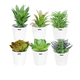 thumbnail image 1 of Plantas Suculentas  Lab.G Artificiales Macetas Decorativas Bonsai 6 pzs, 1 of 5