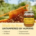 thumbnail image 4 of Honey Gardens Apitherapy Raw Honey | 100% Pure | US Grade A, Unpasteurized & Unfiltered | 43 Servings | 2 Pound Jar, 4 of 6