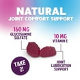 thumbnail image 6 of Joint Support Gummies - Glucosamine Plus Vitamin E Nature's Joint Support Supplement for Occasional Discomfort for Back, Knees & Hands - Cartilage & Joint Health & Flexibility Support - 120 Gummies, 6 of 10