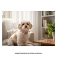 thumbnail image 4 of Collar para Mascota Prichos Cuello de 25-36 cm, 4 of 4