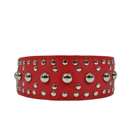 Studded Latigo Dog Collar - 2