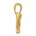 thumbnail image 2 of 14k Yellow Gold Open Back Textured Polished Finish Solid Springer Spaniel Dog Charm Pendant, 2 of 2