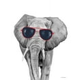 thumbnail image 2 of Nieman, Rachel 12x14 White Modern Wood Framed Museum Art Print Titled - Looking Cool Elephant, 2 of 4