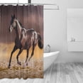 thumbnail image 2 of Coolnut Horse Running Alone Bath Shower Curtain Liners 72"x72", 100% Polyester Waterproof with C-Shaped Curtain Hook Modern Bathroom Decoration 1 Panel, 2 of 5