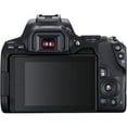 thumbnail image 3 of Canon EOS Rebel 250D Camera with 18-55mm+500mm f/8.0 Telephoto Lens for T-mount+COMMANDER Starter Kit+Lens Filters+CASE+64Memory Cards(18PC), 3 of 5