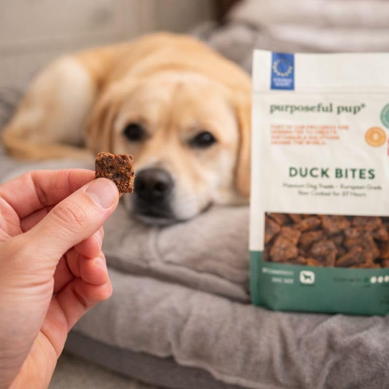 Purposeful Pup, All-Duck Variety Pack Dog Treat Bundle - 100% Natural Chews